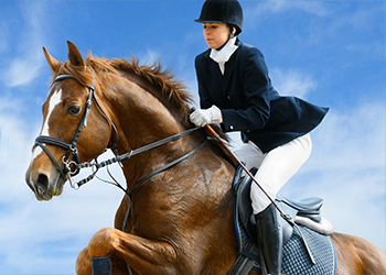 Horse Riding Gloves